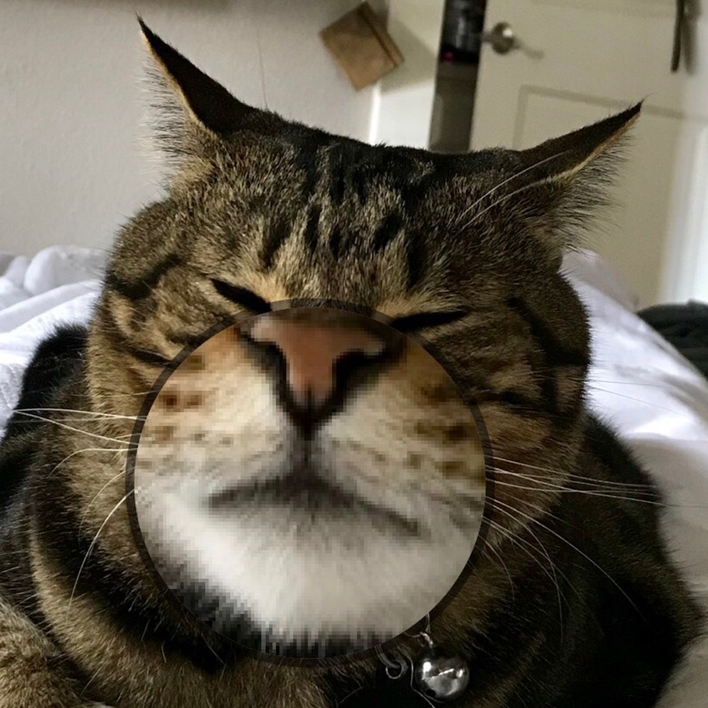 Meet your Posher, Kelly